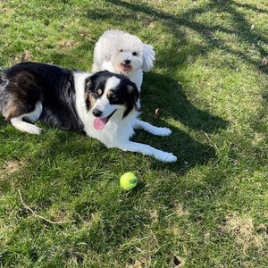 Meet your Posher, Ljwl